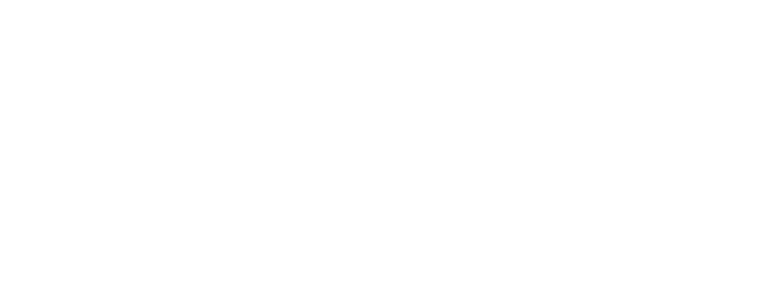 Zorrito Estudio
